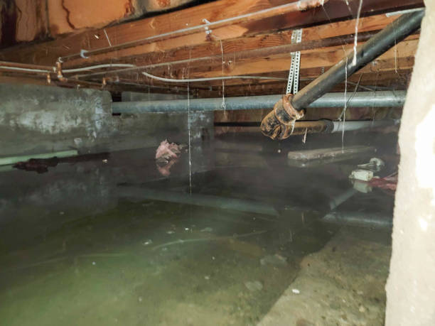 Best Commercial water damage restoration  in Summit Hill, PA