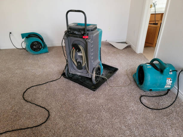 Carpet water damage restoration in Summit Hill, PA