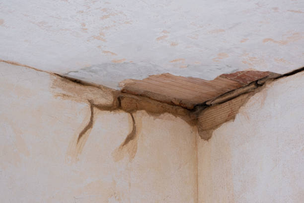 Best Flood restoration services  in Summit Hill, PA