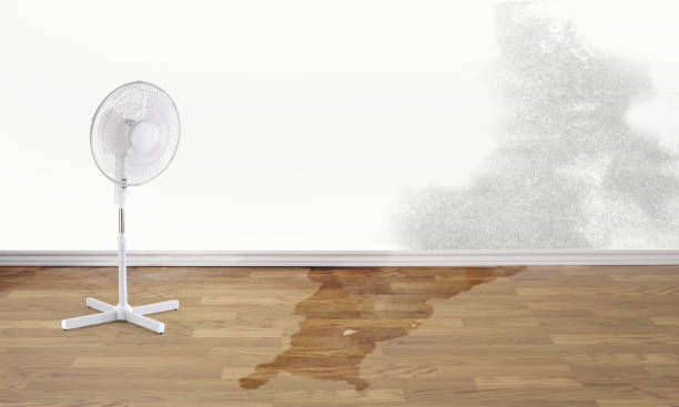 Water damage restoration insurance claims in Summit Hill, PA